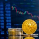 Net Crypto Data News